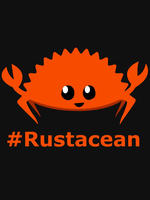 Cover image of The Rust Programming Language